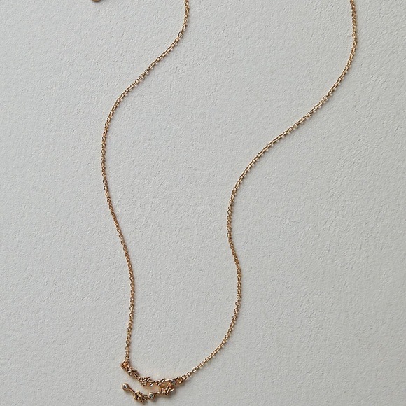 Free People Flower Capricorn Zodiac Constellation Necklace - Picture 2 of 2